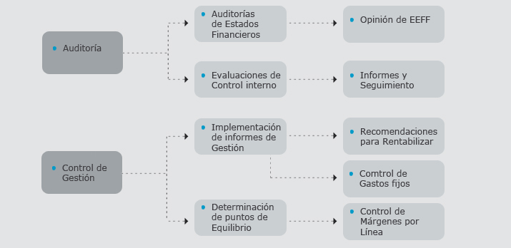 Auditorías de estados Financieros y Control de Gestión